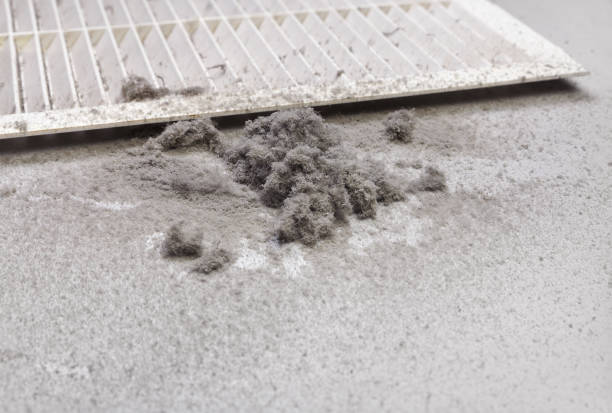 Best Ventilation Cleaning Services  in Lynnville, IN