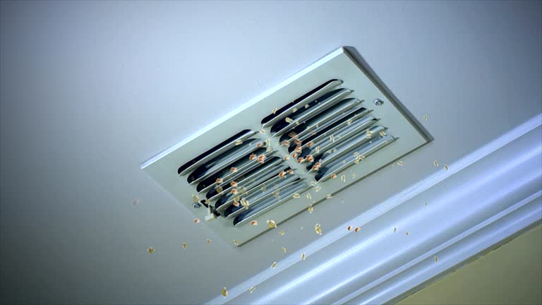 Best HVAC System Cleaning  in Lynnville, IN