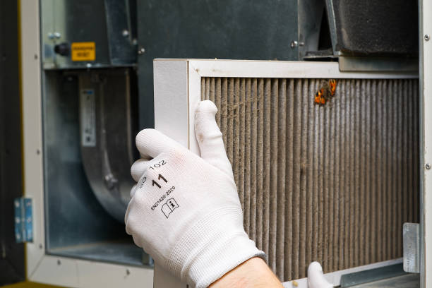 Best Affordable Duct Cleaning Services  in Lynnville, IN