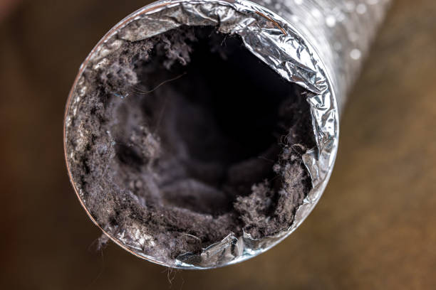 Best Professional Duct Cleaning Services  in Lynnville, IN